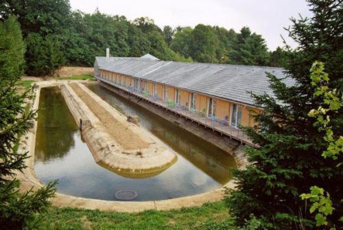Motel Dacice Bagian luar foto